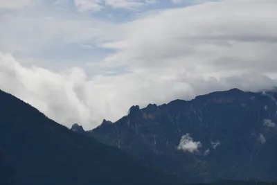 DSC_6254 (Large).JPG